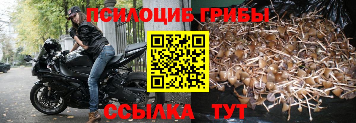 Галлюциногенные грибы мухоморы  Вход с VPN  Галлюциногенные грибы MAGIC MUSHROOMS  Клинцы 